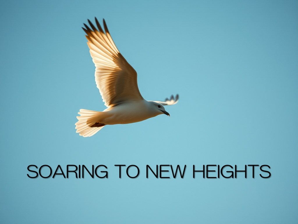 From Fear to&nbsp;Freedom